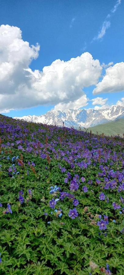 Ushguli Hotel Riho Exterior photo